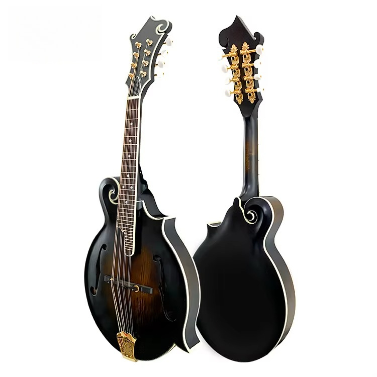 أداة مندولين احترافية عالية ال - مراجعة Mandolin A Style وسعره