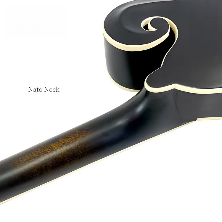 أداة مندولين احترافية عالية ال - مراجعة Mandolin A Style وسعره