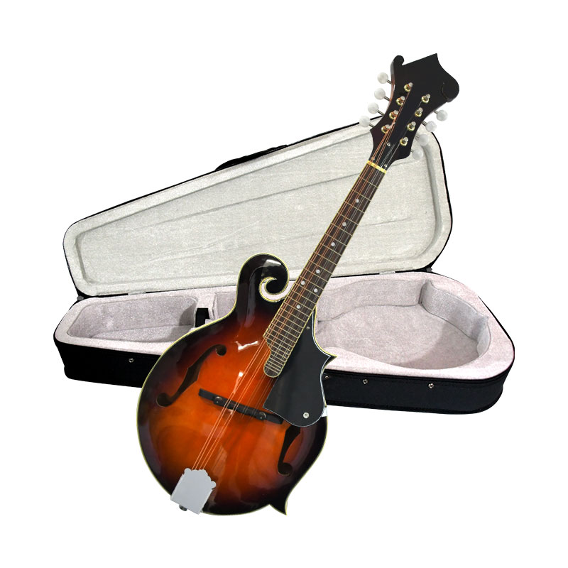 ماندولين طراز F، آلة موسيقية ص - مراجعة Mandolin A Style وسعره