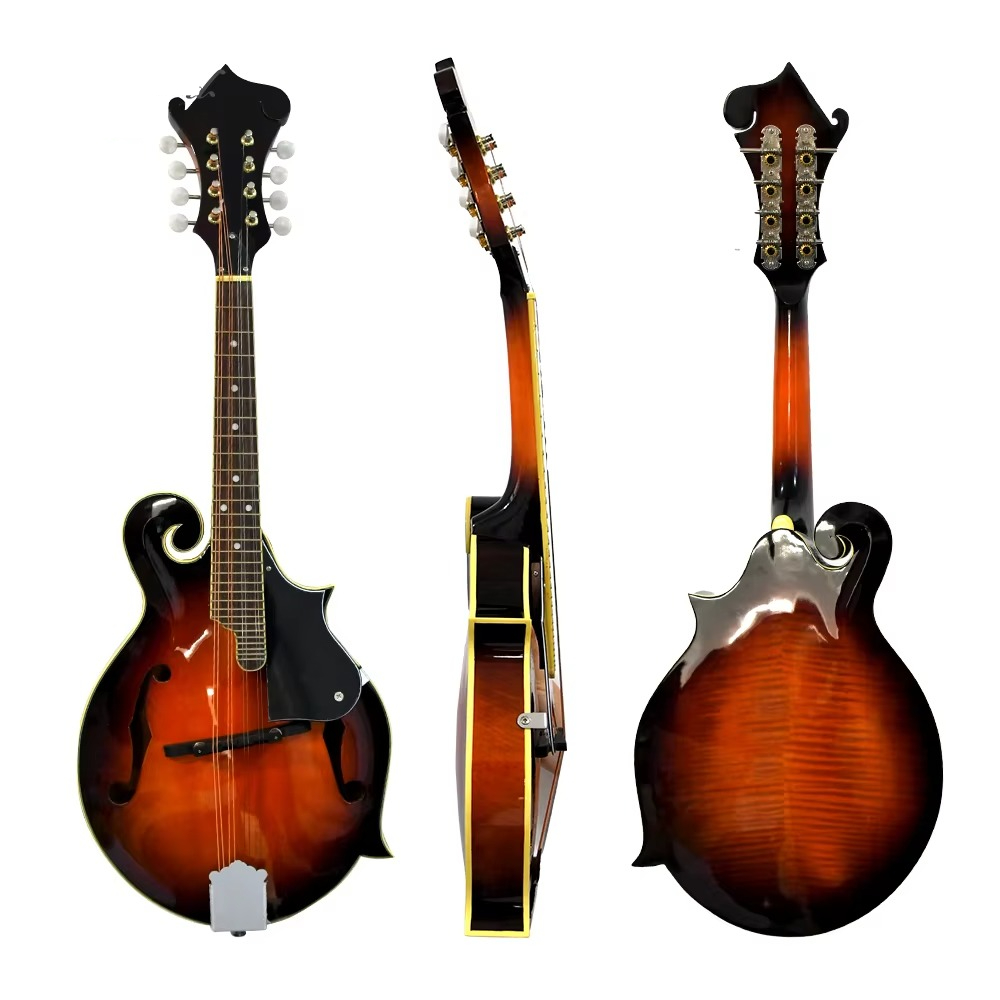 ماندولين طراز F، آلة موسيقية ص - مراجعة Mandolin A Style وسعره