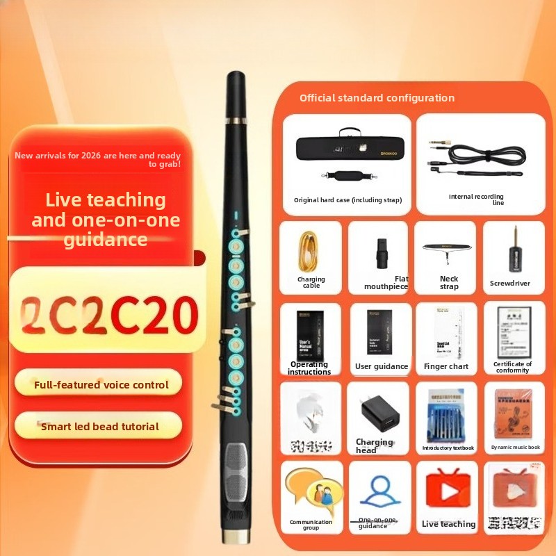 C20 آلة موسيقية كهربائية ذكية  - مراجعة Musical Instrument Ending In A وسعره