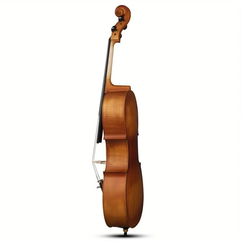 4/4 لوحة تشيلو من خشب الباسوود - مراجعة Musical Instrument In Orchestra وسعره