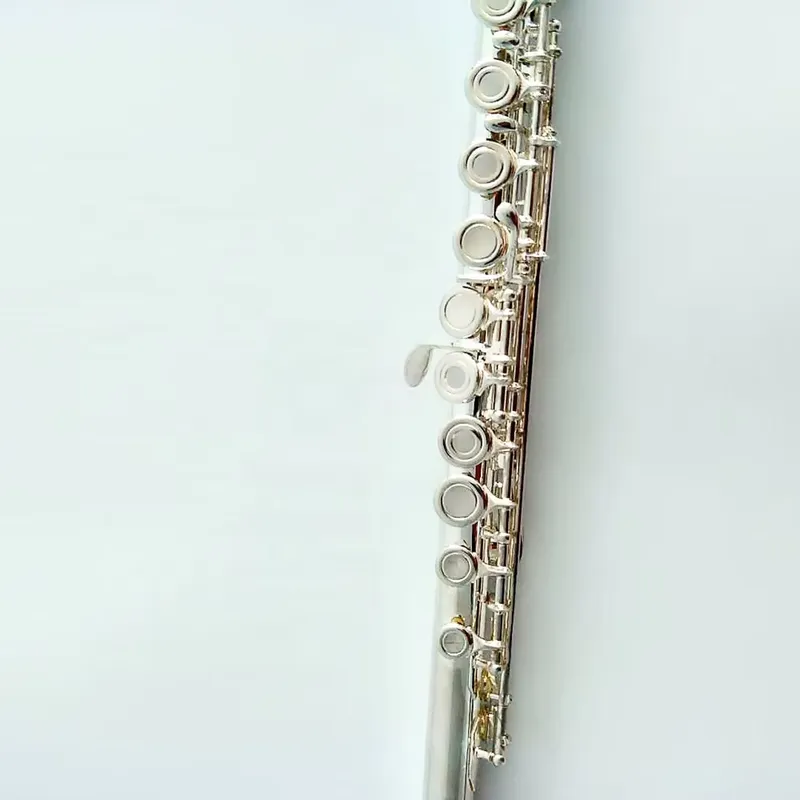 آلة فلوت فضية مطلية بـ 16 أو 1 - مراجعة Musical Instrument In Orchestra وسعره