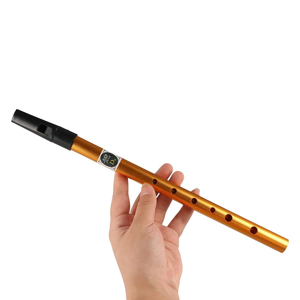 آلة موسيقية: صافرة أيرلندية اح - مراجعة Musical Instrument Flute وسعره