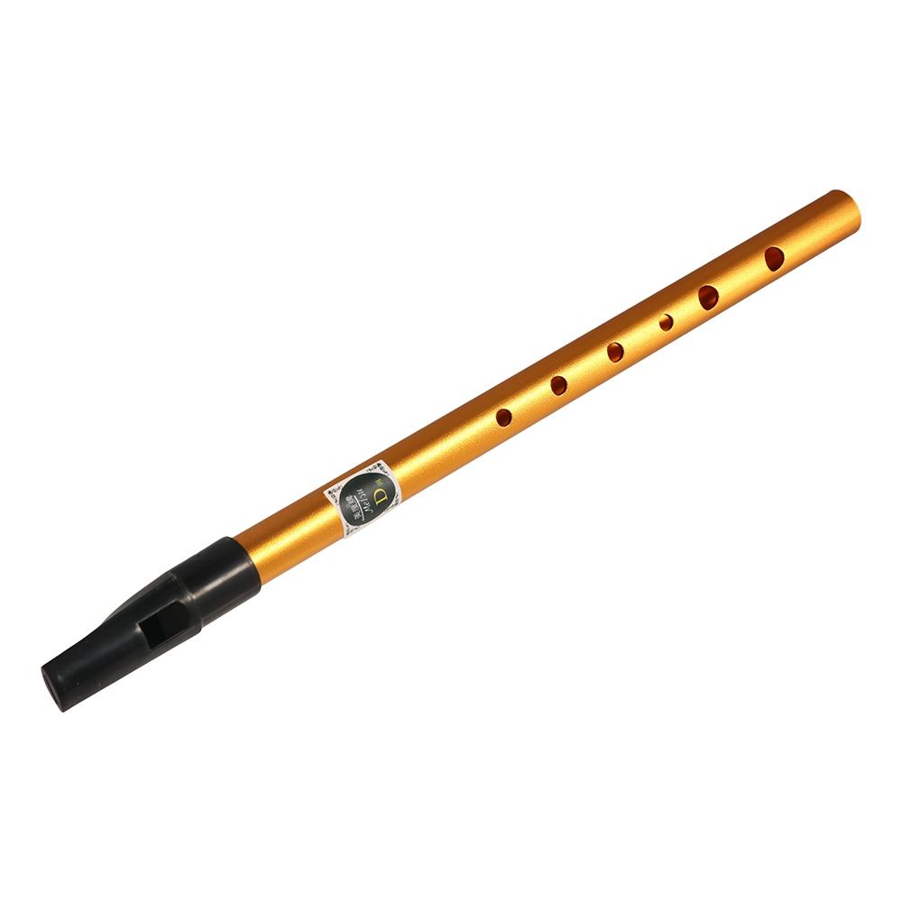 آلة موسيقية: صافرة أيرلندية اح - مراجعة Musical Instrument Flute وسعره